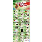 国际禁毒日主题班会ppt