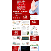 拒绝食用野生动物主题班会ppt模板