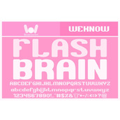 Flash brain字体