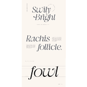 Swily bright字体