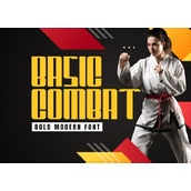 Basic combat字体