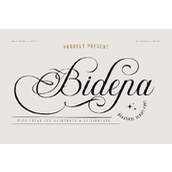 Bidena trial字体