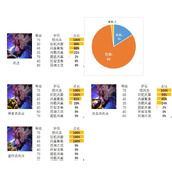 dnf风法护石和符文最佳搭配是什么