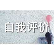 工作业绩自我评价
