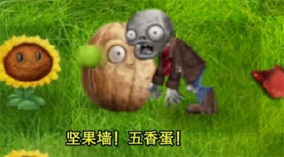 植物大战僵尸现实版安装