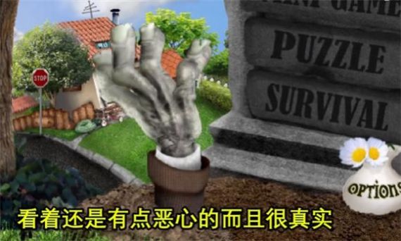 植物大战僵尸现实版安装