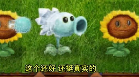 植物大战僵尸现实版安装