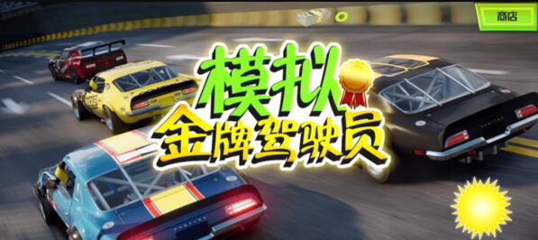 模拟金牌驾驶员安装