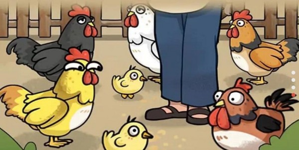 养鸡日记安卓下载