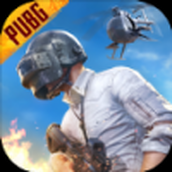 pubg小言游戏安装