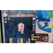 《魔兽世界》乌龟服断牙优势介绍