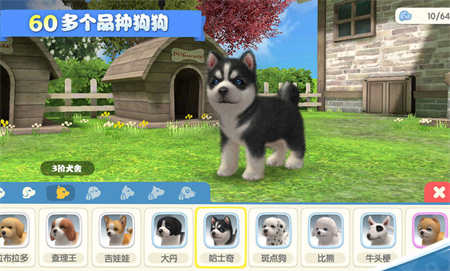 梦幻小狗游戏最新版