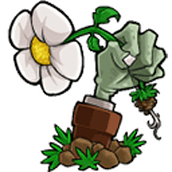 植物大战僵尸lz游戏安装
