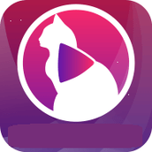 小猫直播v3.5.8