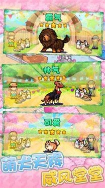 发现狗狗乐园手机版