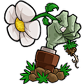植物大战僵尸lzpvzttd版