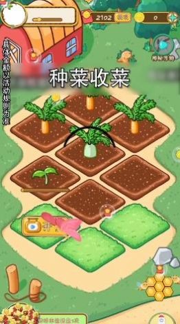 全民种菜游戏安装
