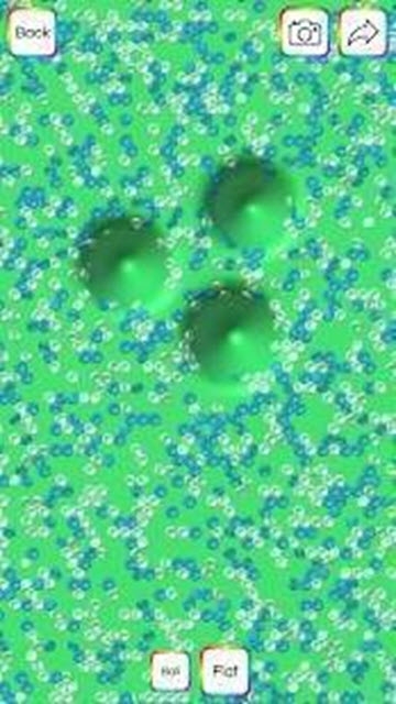 virtual slime下载最新版