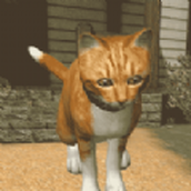 快乐猫猫传（下载）