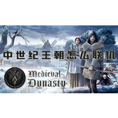 中世纪王朝怎么联机多人模式教程