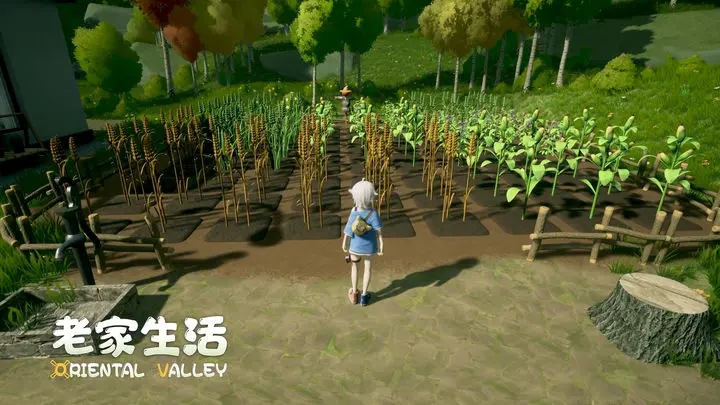老家生活版