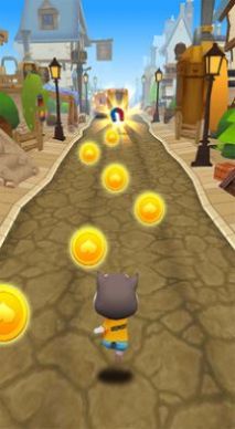 宠物猫跑酷版