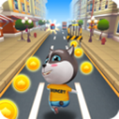 宠物猫跑酷版