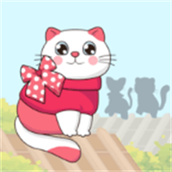 驯猫达人游戏最新版