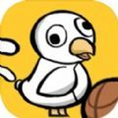 养鸡时长两年半免费正版