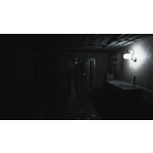 《恶魔学家》外质体染色介绍