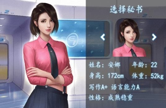 极品秘书游戏安装