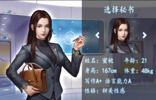 极品秘书游戏安装