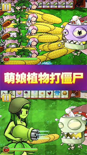 塔防v冲突安装