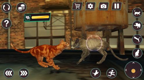 猫咪格斗战争模拟器安装包