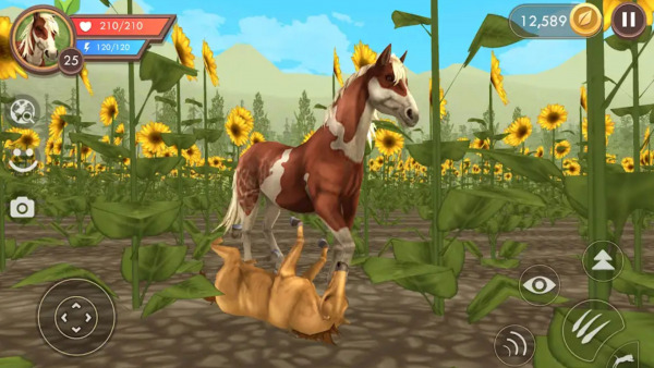 饿狼来了免费正版