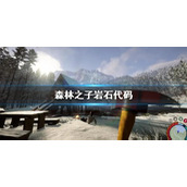 《森林之子》岩石代码一览