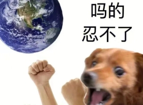 网络用语向日葵的花语是什么梗