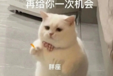 《抖音》海底捞四个人得多少钱是什么梗