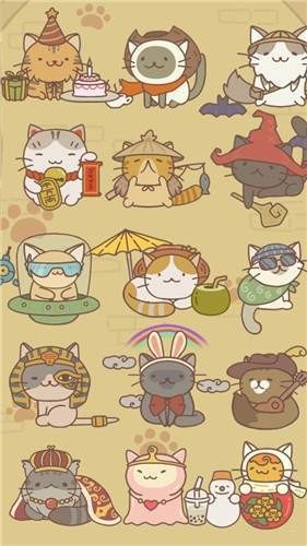 小猫公寓安装