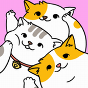 小猫公寓安装