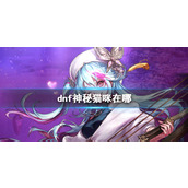 《dnf》神秘猫咪位置介绍