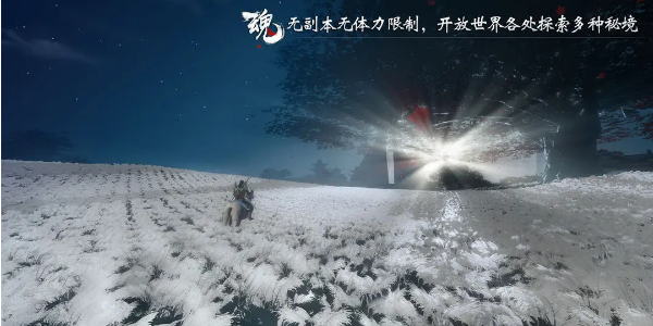 魂之追梦兑换码大全