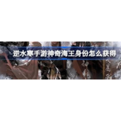 逆水寒手游神奇海王身份怎么获得