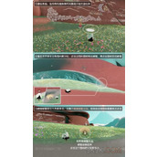光遇九色鹿季季节任务二攻略详解