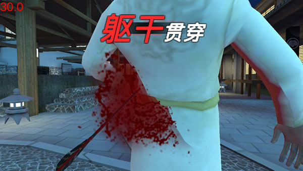 忍者信条安装