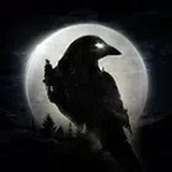 night crows夜鸦版