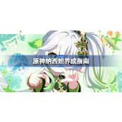 原神纳西妲养成指南