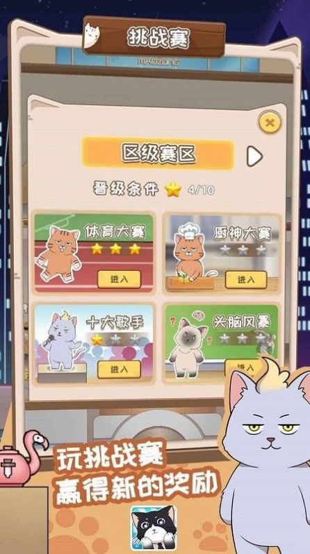 猫总大厦免费正版