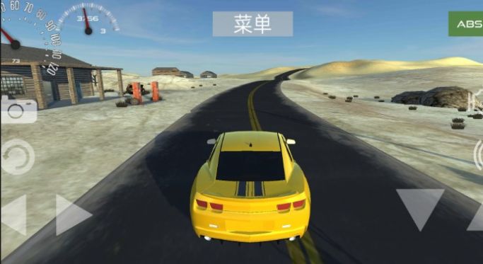 极速专业赛车版