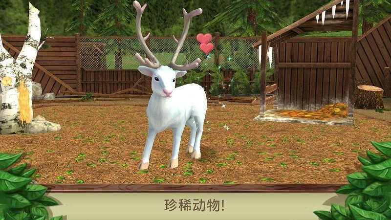 美国野生动物园免费正版